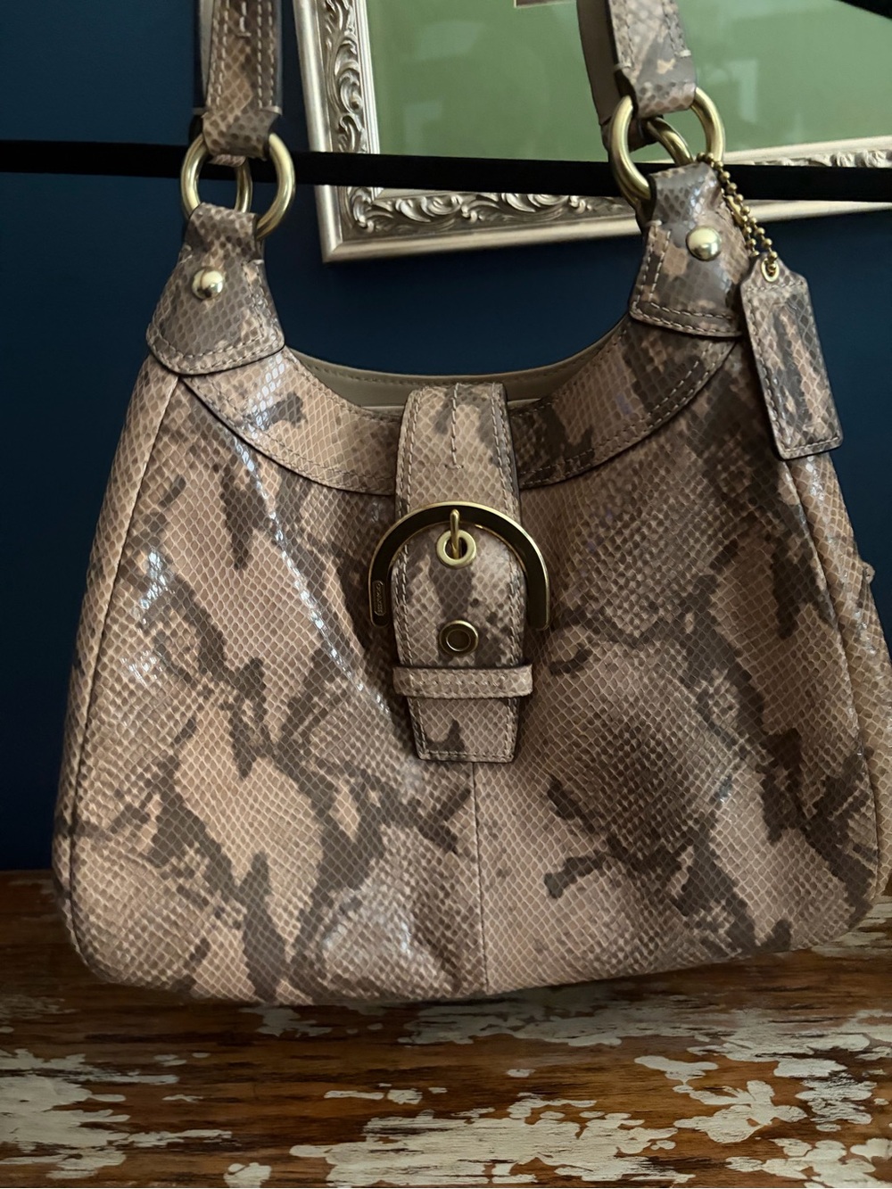 Coach Python Embossed Hobo Bag